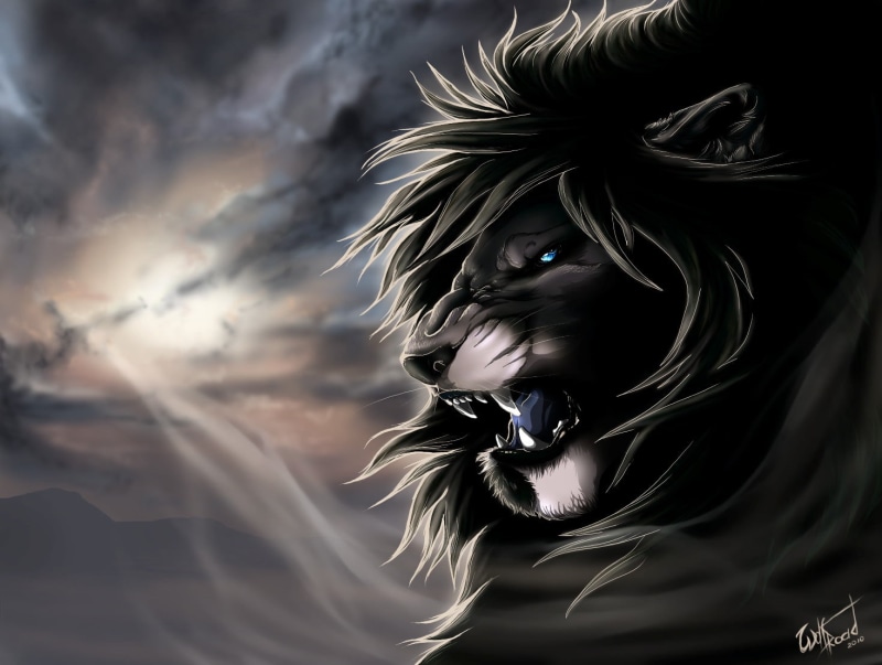 obscured face, human Face, beautiful, hairstyle, evil, illustration, leisure activity, monster - Fictional Character, hair, lion, mystery, looking, lifestyles
