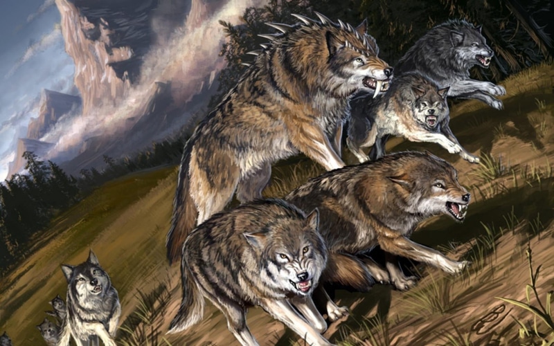 outdoors, nature, painting, animal themes, animal wildlife, wolves, cruel, wildlife, pack, mouth, medium group of animals, day, cat, flight, group of animals