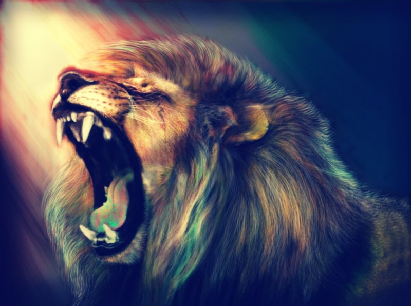 anger, one animal, animal Mouth, pets, danger, wildlife, hair, painting, nature, vertebrate, carnivore, illustration, mammal, feline, cruel, animal wildlife