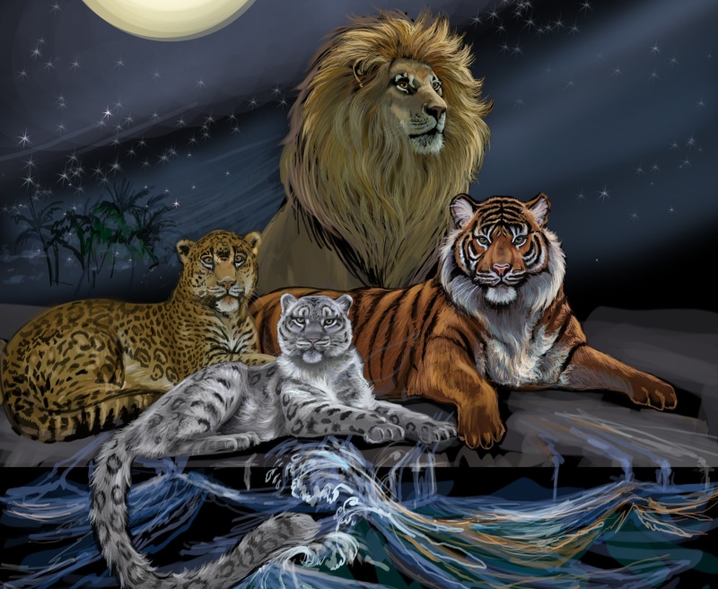 snarling, wave, backgrounds, roaring, animal, mammal, domestic animals, animals, danger, leopard, sitting, family, animal themes, furious, animals In The Wild