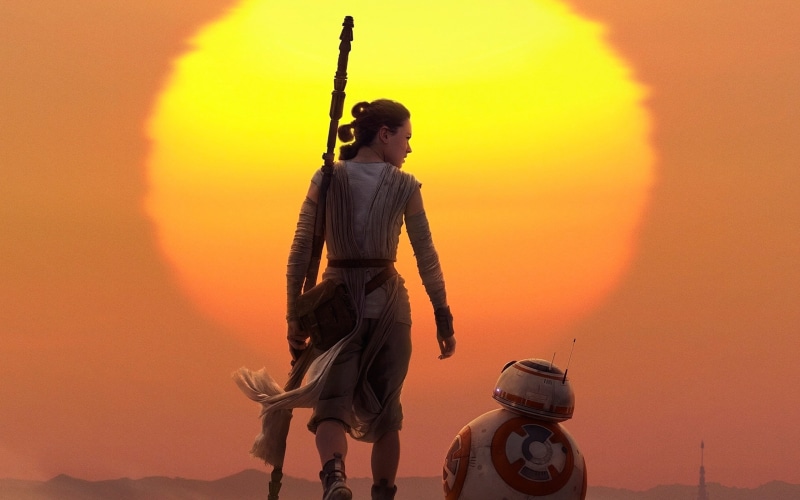 sky, full length, standing, bb 8, 2K, sunset, transportation, leisure activity, holding, real people, sunlight, yellow, nature, men, lifestyles, side view