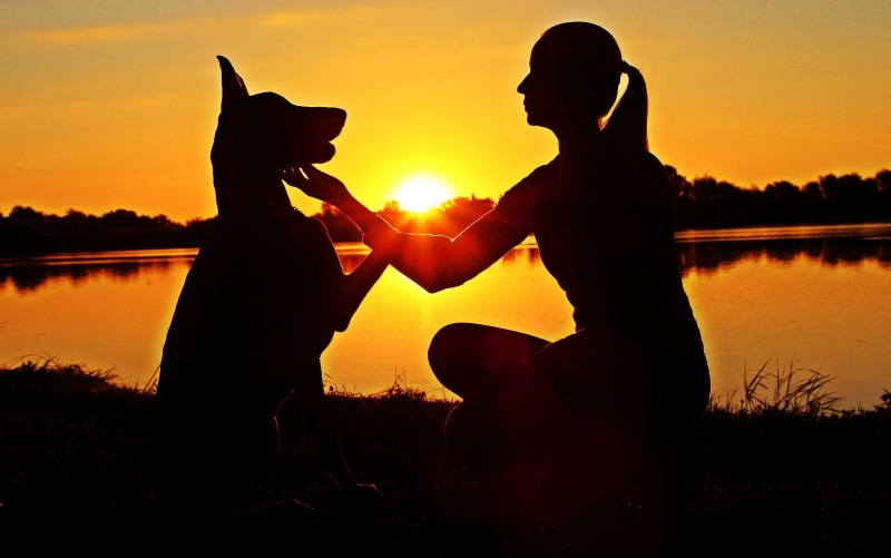beauty In Nature, lake, happiness, lakeside, females, sunset, family, bonding, tranquil Scene, twilight, one animal, water, Silhouette, recreational Pursuit