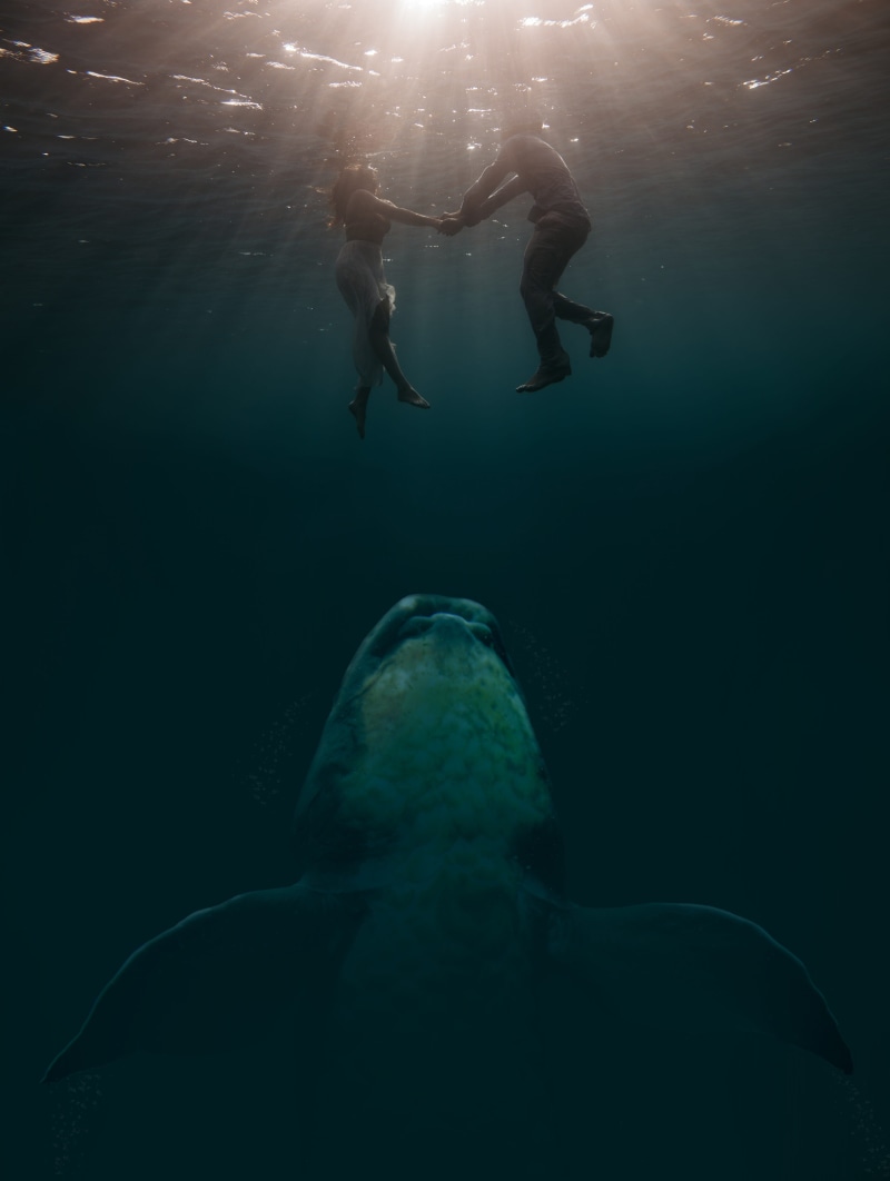 mermaid, exploration, background, scuba diving, fantasy picture, mood, large, 4K, aquatic sport, diving equipment, hai, dolphin, animal, undersea, design