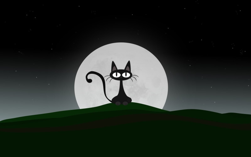 full Moon, scenics - nature, black Color, planetary Moon, moon, sky, dark, hill, outdoors, beauty in nature, illustration, the moon, witch, tree, cat, vector