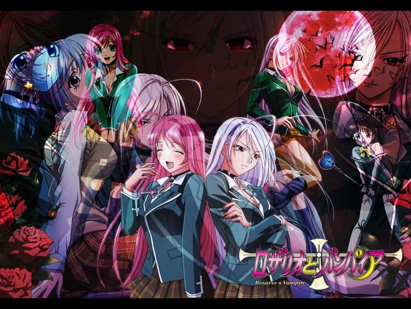 group of people, anime, men, standing, costume, 720P, multi colored, Rosario + Vampire, Akashiya Moka, nightlife, festival, performance, arts culture and entertainment
