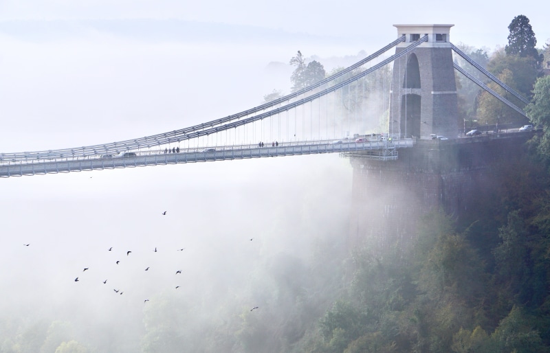 handrail, architecture, vertebrate, bridge - man made structure, built structure, animal themes, outdoors, transportation, building, sky, city, mist, nature