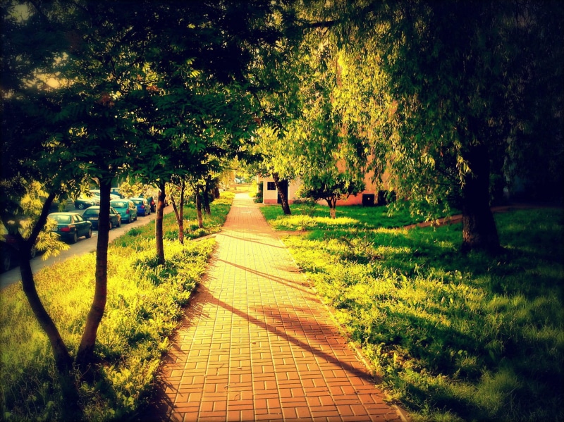 neighborhood, summer fall golden sun sunset sunrise amazing awesome polan, nice, beautyfull, polish, 1080P, green, winter