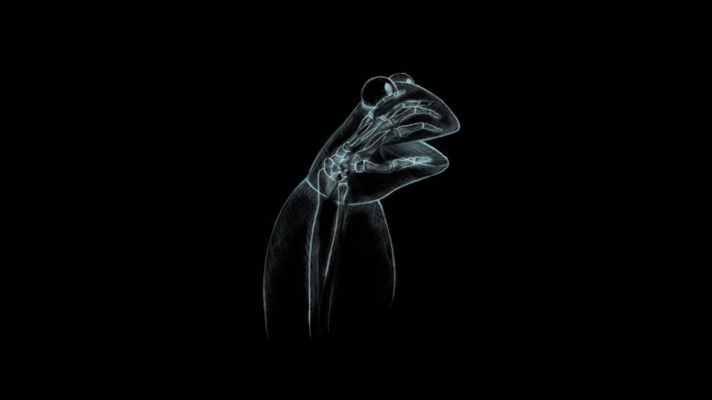 puppet, frog, kermit, x, street, art, solid, frogs, simplistic, simple, sesame, wal, Abstract, xray, animals, Cartoons, hd, 1080P