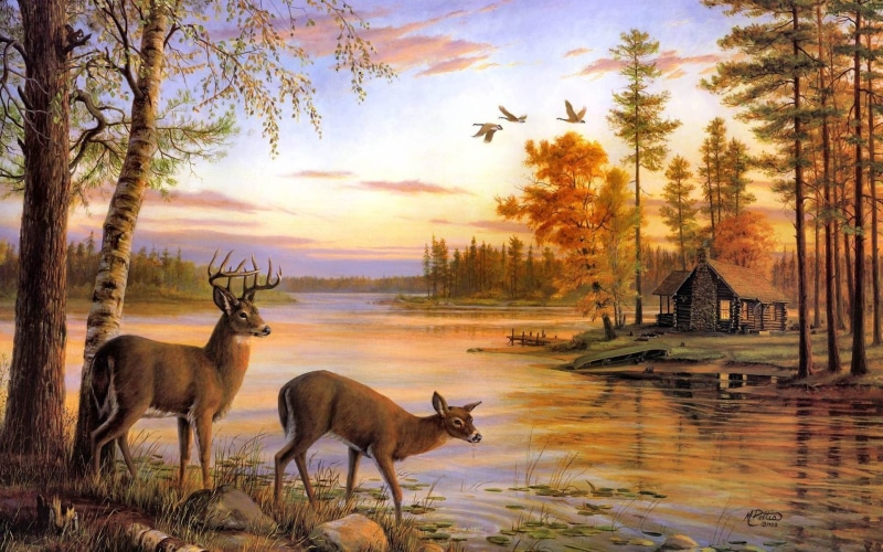 birds, forest, 1080P, x, lakes, deer, Landscapes, animals, paintings, cabin, art, nature, hd, artwork