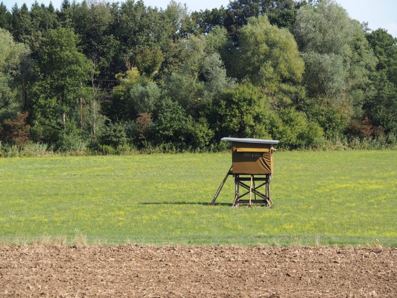 wooden tower, stalking equipment, hunt, hidden, tranquility, forest, agriculture, hirsch, green color, wood, plant, ranger seat, scenics - nature, nature