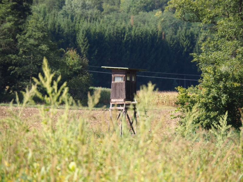 outdoors, no people, hunting seat, stalking equipment, structure, wood, autumn, hunter was, autumn forest, forest, antler, built structure, rut, fog, wooden tower