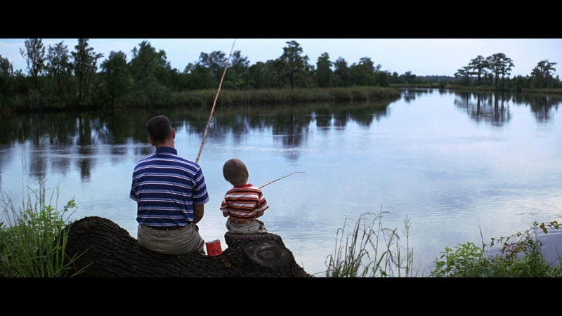 drama, 1080P, gump, forrest, fishing, mood, lake, comedy