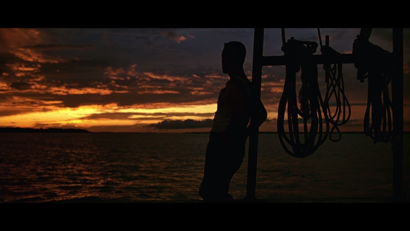 sunset, comedy, forrest, mood, drama, gump, 1080P