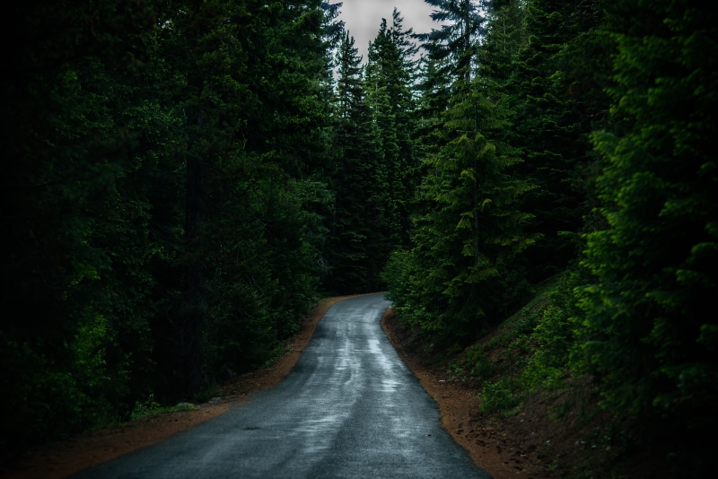 hill, bend, landscape, oregon, scenics - nature, flowing water, tree, non-urban scene, plant, path, trees, transportation, tranquility, gray, forrest, middle
