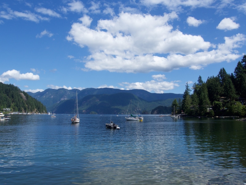 deep cove, water, tranquility, sailboat, day, transportation, tranquil scene, lake, cloud - sky, nautical vessel, waterfront, trees, plant, beauty in nature