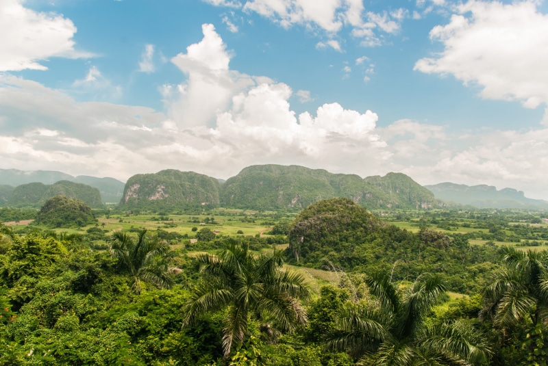 4K, lush foliage, karibik, landscape, sky, palms, tranquility, travel, cuba, scenics - nature, tranquil scene, mountain, no people, viñales, green, viñales valley
