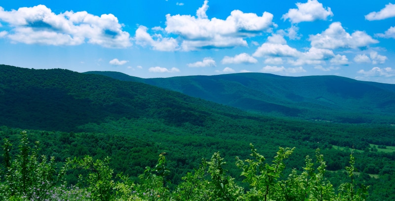 united states, green color, tranquility, overlook, shenandoah valley, mountain, shenandoah, plant, landscape, 5K, skyline drive, environment, lush foliage