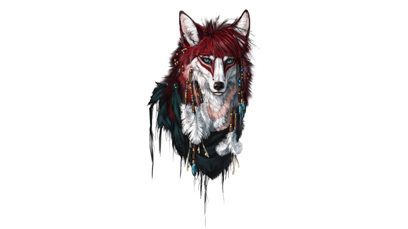 animal wildlife, drawing, 1080P, feathers, one animal, domestic, studio shot, animals, fox, wolf, mammal, no people, domestic animals, copy space