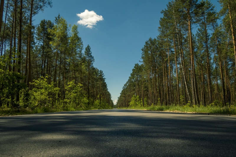 no People, growth, surface level, cloud, concrete, plant, outdoors, landscape, direction, scenics - nature, Road, day, lane, grey, transportation, tranquil scene