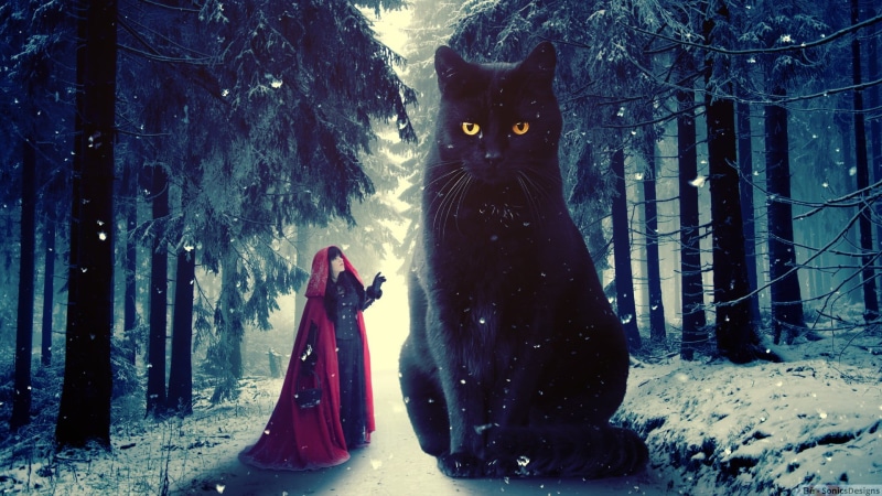 trunk, digital art, no people, domestic animals, day, nature, outdoors, photo manipulation, animal themes, pets, black cats, cat, 1080P, representation