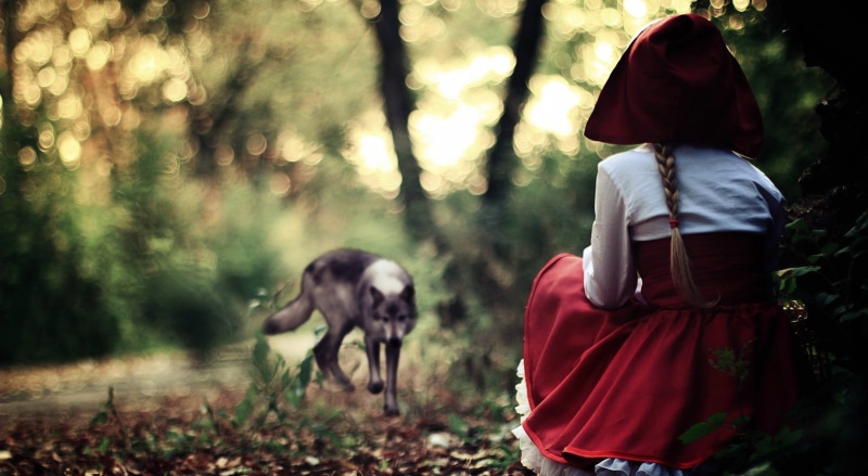 rear view, braids, s, adult, one animal, nature, outdoors, woodland, plant, dress, wolf, one person, women, real people, cape, bokeh, white, lifestyles