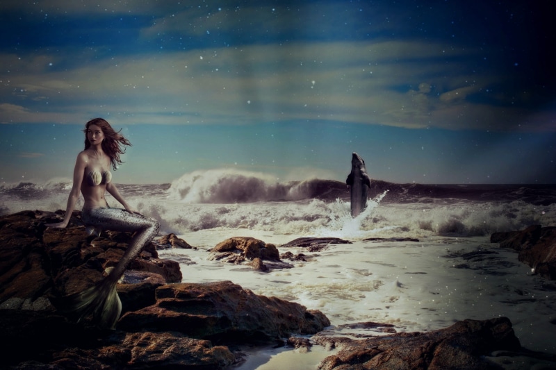 atmosphere, land, nature, one person, adult, Fantasy, pose, sit, animal woman, dolphin, scenics - nature, stones, near, young adult, rocks, star - space