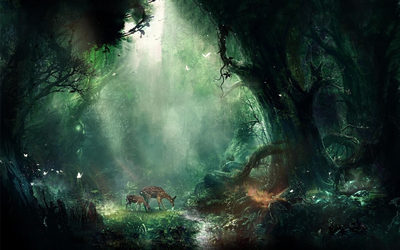 bambi, 1080P, jungle