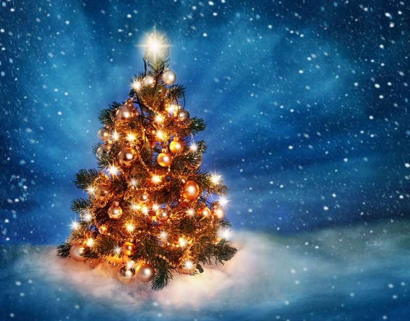 Merry Christmas, decoration, new, 4K, snow, tree, christmas, New Year, christmas tree, outside, lights, ice, light balls, year