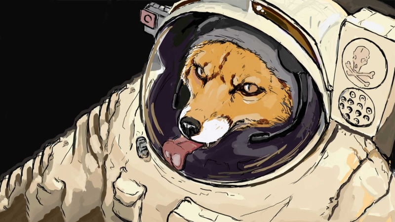space, representation, chocolate, sweet, starfox, fox, floral pattern, indoors, no people, still life, illustration, creativity, human representation, art and craft