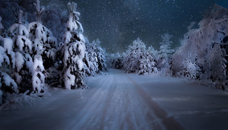snowing, sky, forest, astronomy, star - space, environment, snow, the snow, space and astronomy, road, beauty in nature, winter, tree, night, frozen, trees