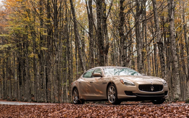 beige, leaves, sedan, ghibli, 2K, forest, maserati, maserati ghibli, car, fall
