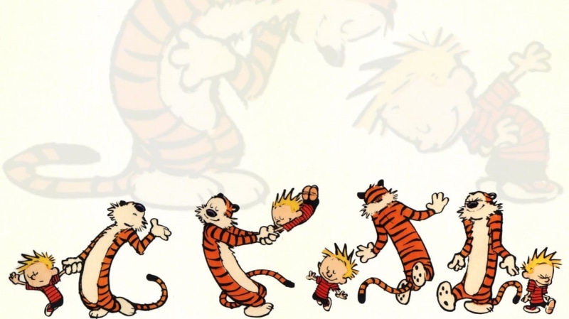 calvin and hobbes, playing, 720P, cartoons, kid, playing together, tiger, calvin, together, friends, hobbes