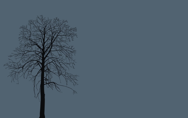 sky, black Color, day, dark, tranquility, blue, single Object, tree Trunk, no people, plant, night, copy space, nature, dead Plant, low angle view, solitude