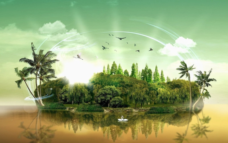 vertebrate, animal wildlife, trees, digital composite, vacations, blue, summer, river, reflection, vector, plant, group of animals, flock of birds, flying