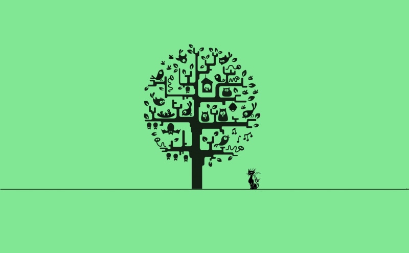 text, one person, concepts, creativity, vector, symbol, real people, light Bulb, pattern, computer Graphic, green Color, digital composite, cat, 2K, plant