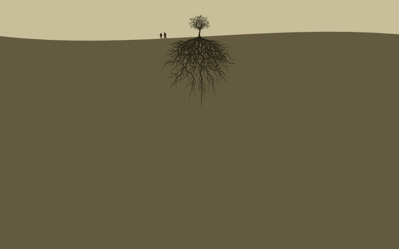 trees, tranquil scene, 2K, sky, two, tree, land, people, summer, animal, animal wildlife, outdoors, day, animal themes, backgrounds, beauty in nature
