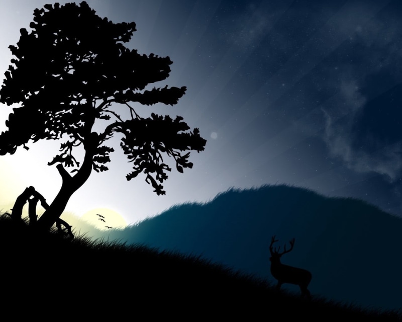 backgrounds, plant, night, grass, deer, moon, black Color, scenics - nature, outdoors, blue, beauty In Nature, mountain, dark, back Lit, sunset, one person