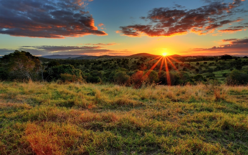 2K, Sunset, Trees, Grass, Clouds, Sun, field, green, Rays