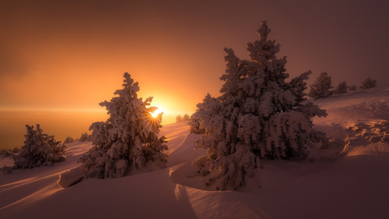 sun, 1080P, winter, snow, light, ate, trees, nature, the sun