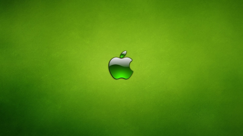 single object, studio shot, design, close-up, colored background, directly above, high angle view, green color, environment, paper, green, simplicity, copy space