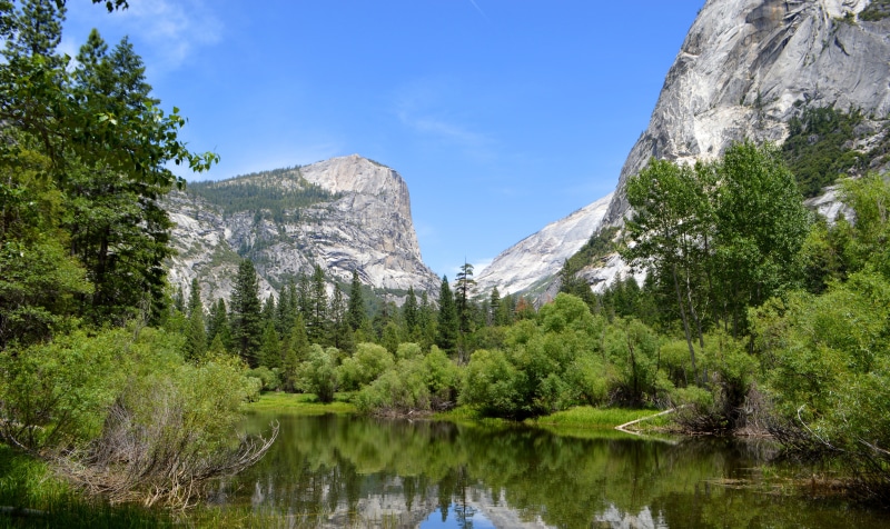 forest, lake, Yosemite, apple, mountains, 8k, 5k, 4k, OSX, 5K