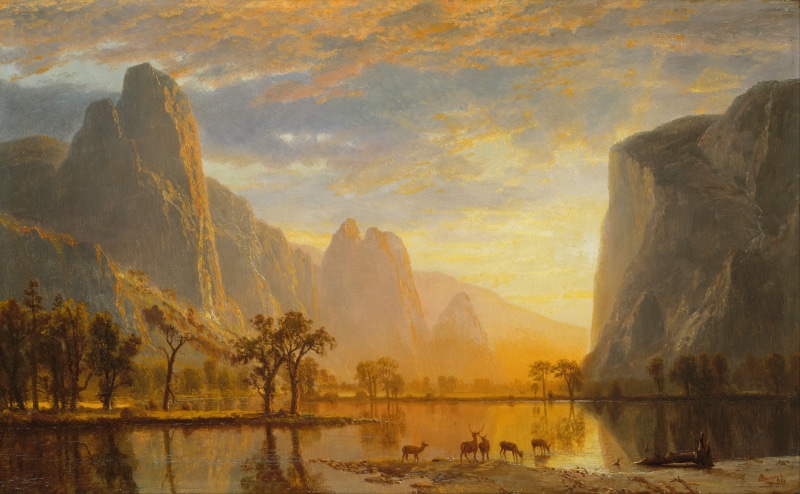 apple, forest, 8k, mountains, 5K, Yosemite, 4k, OSX, 5k