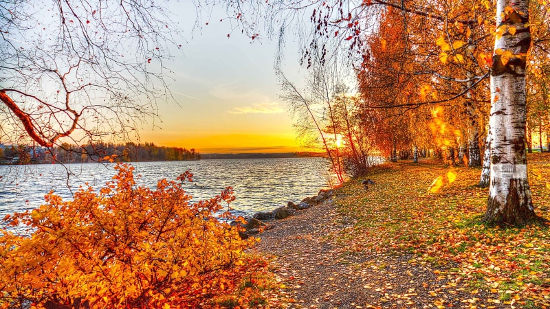 2K, no people, sky, orange, plant, tree, tranquil scene, plant part, leaf, tranquility, outdoors, land, clouds, scenics - nature, change, autumn collection