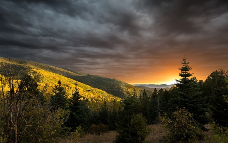 sunlight, coniferous tree, sky, no people, forest, leafed, plant, scenics - nature, mountain, fall, tranquility, idyllic, clouds, dramatic sky, tranquil scene