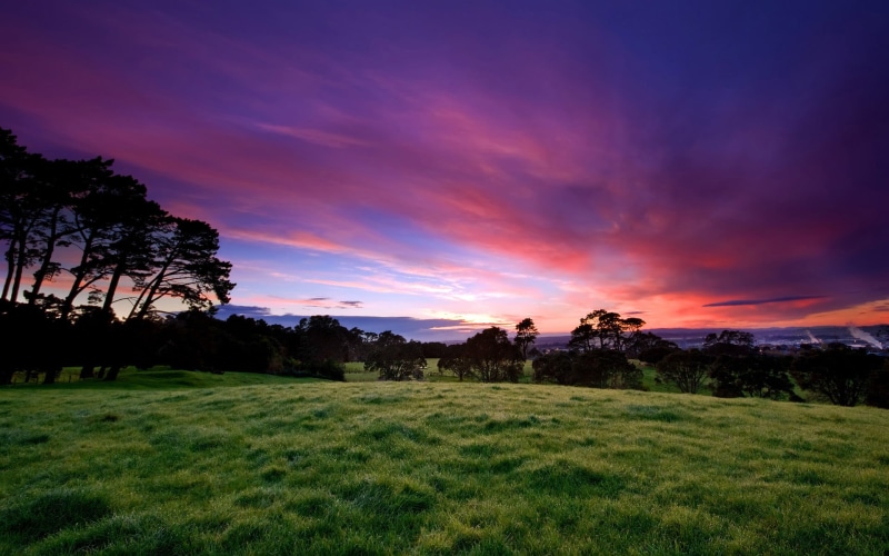 tree, 1080P, outdoors, sunrise - Dawn, graduated  nd  filter, green grass, BEJ, sunset, dusk, nature, singh  ray, reverse, Morning Light, grass, new zealand