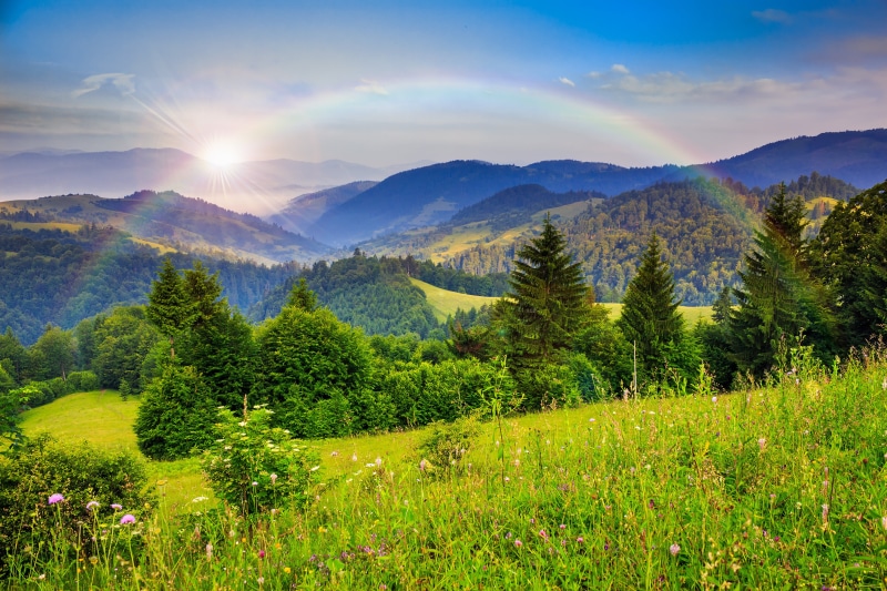 landscape, non-Urban Scene, tranquil Scene, forests, day, season, mountain Range, green, no People, green Color, plant, 4K, woodland, grass, growth, farm