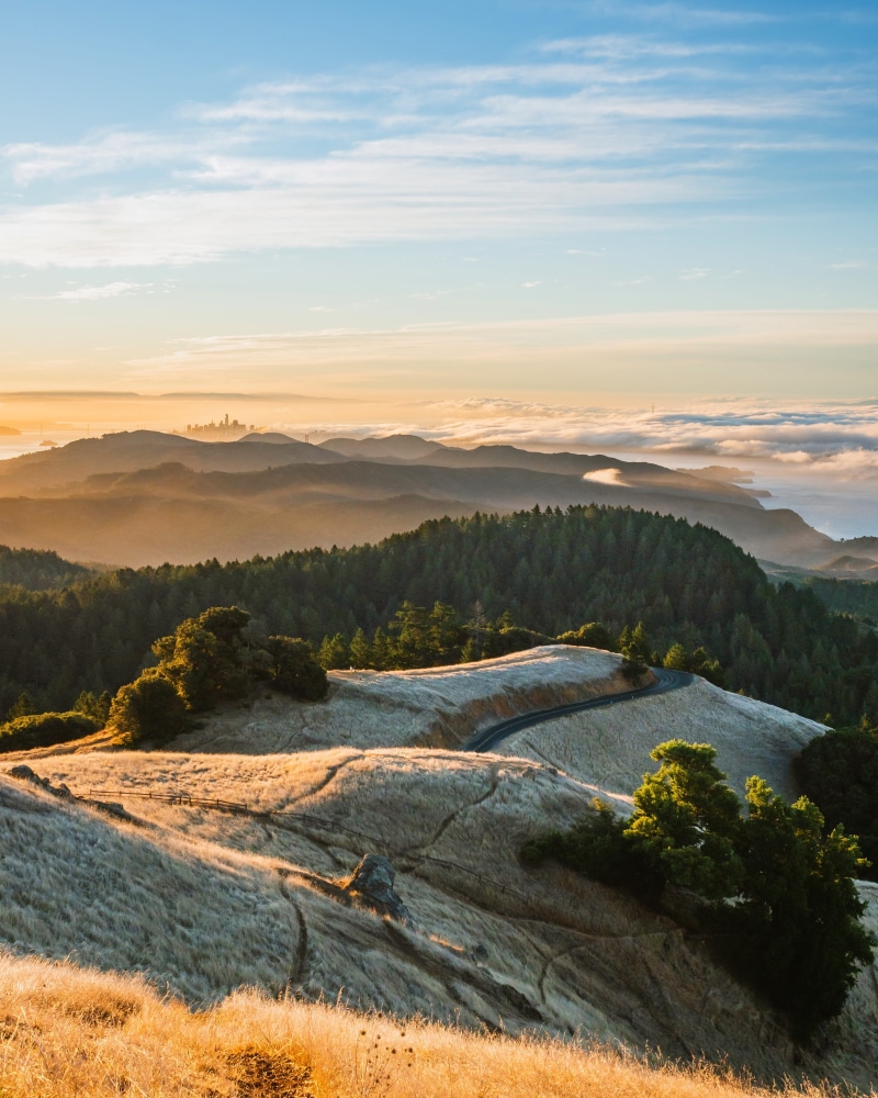 4K, travel, dense forest, green Color, sunrise, mountain, cloud, cloud - Sky, rocky hill, photo, multi Colored, europe, rock - Object, golden light, sunlight