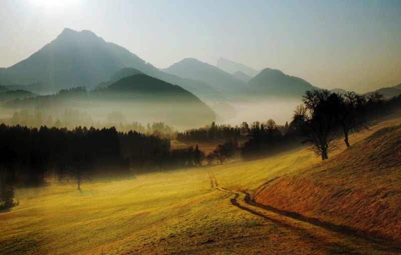 green Color, scenics - nature, tranquility, sunrise - Dawn, mountain Peak, plant, landscaped, sunset, remote, nature, fog, grass, hazy, beauty In Nature