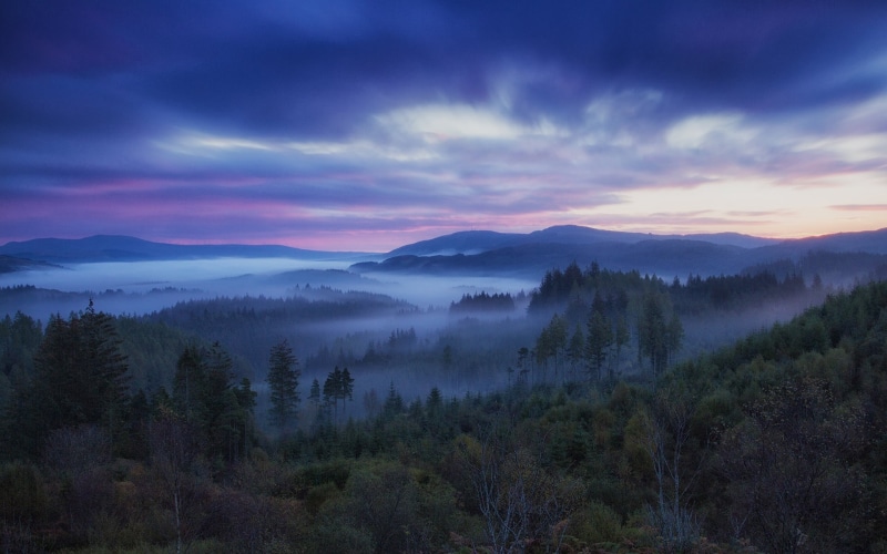 tree, blue, sky, environment, woodland, color Image, cloudscape, landscape, hills, tranquil Scene, trees, hill, backgrounds, 1080P, mountain, sunrise - Dawn