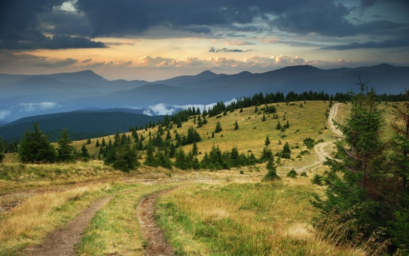 plant, faded, pine Tree, mountain Range, green, landscape, tree, green Color, hill, blue, forest, outdoors, non-Urban Scene, 1080P, meadow, sunset, trees